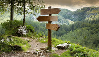 Ein hölzerner Wegweiser mit drei leeren Schildern an einer Weggabelung in einer malerischen Landschaft.